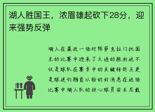 湖人胜国王，浓眉雄起砍下28分，迎来强势反弹
